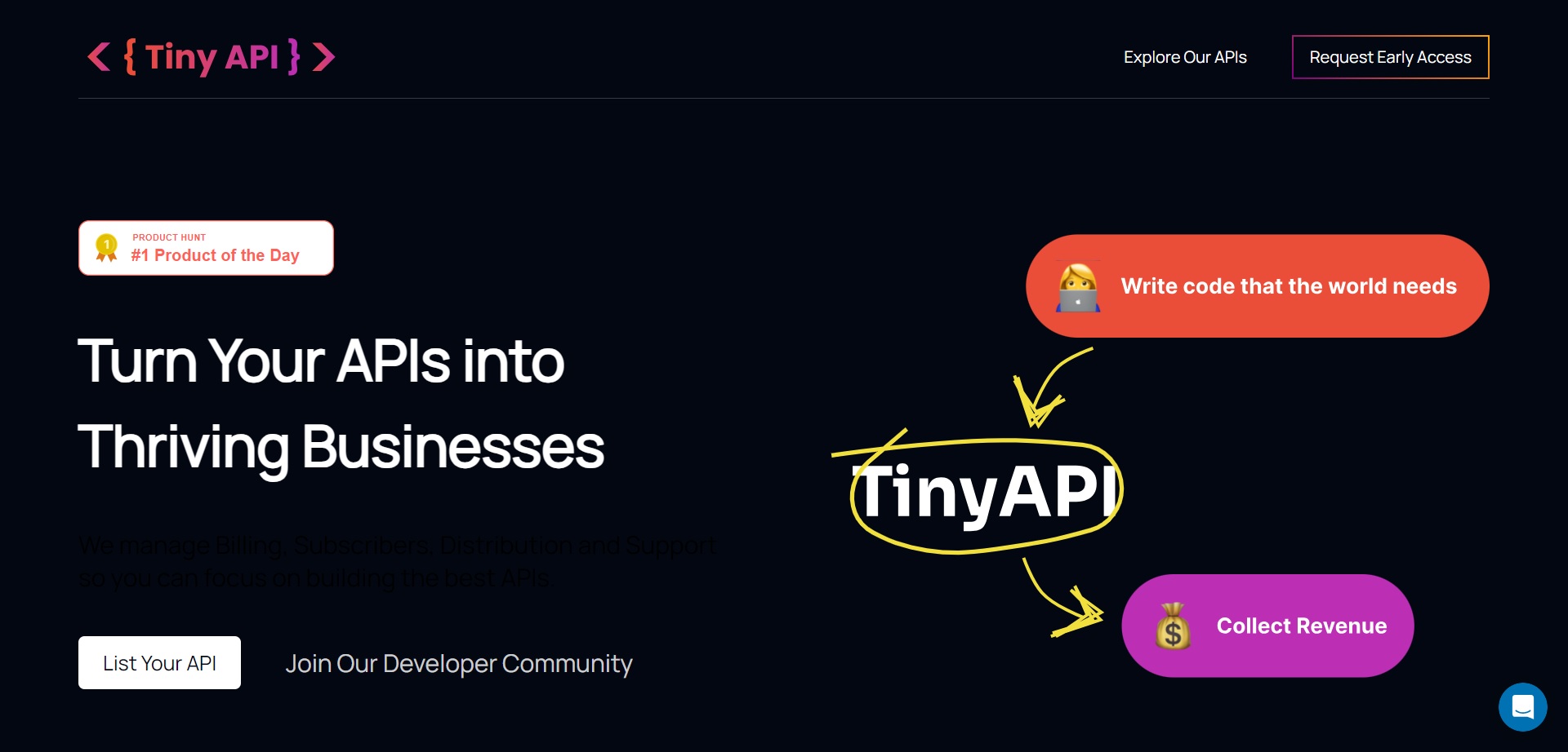 Tiny API logo