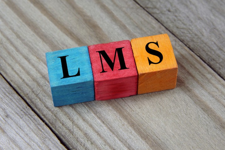 the word LMS, learning management system, spelled out on wooden blocks