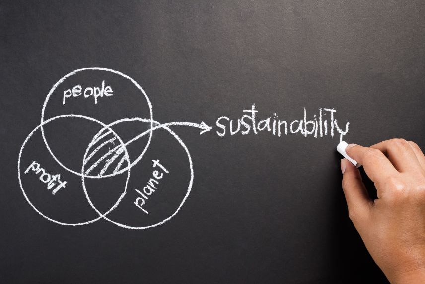 Sustainability Tips: How Startups Can Go Green