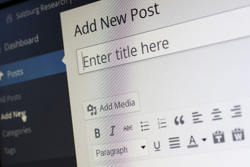 How to Secure a WordPress Page with a Password