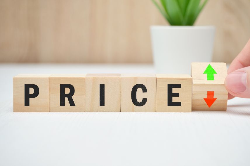 What is Economy Pricing? (How & When to Use It)